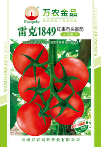 雷克1849红果石头番茄